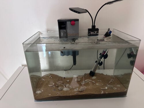 Complete Aquarium  (EHEIM Filter)