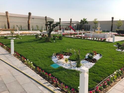 المطر يحي الغصون