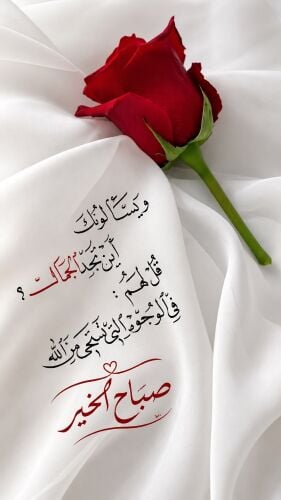 محمد اسماعيل