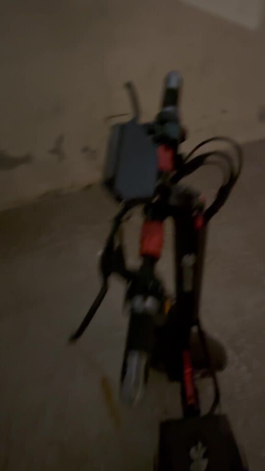 scooter lucky star
