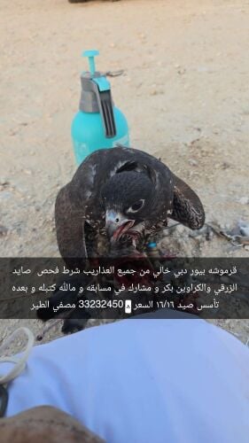 اقرا الوصف