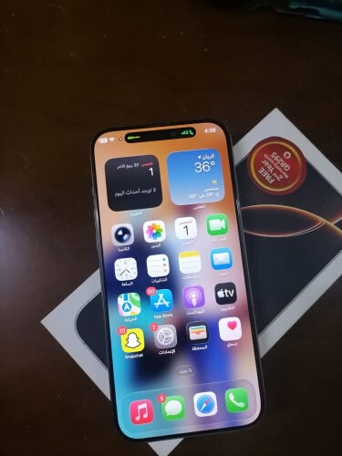 iPhone 16Pro max