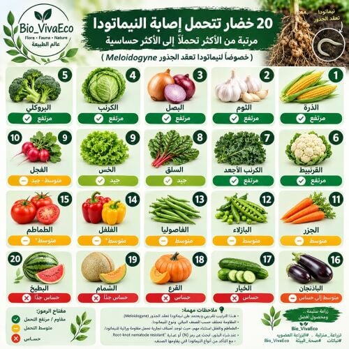 زراعه جميع الخضروات