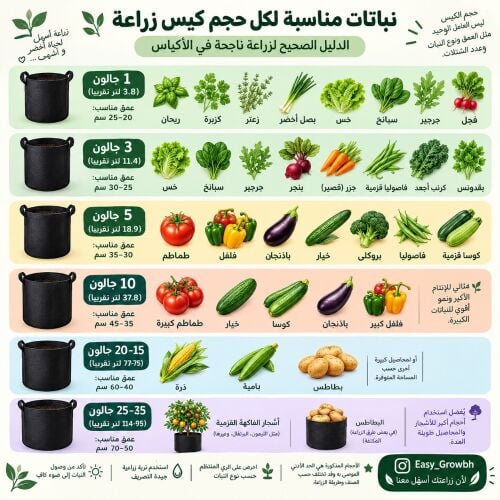 زراعه جميع الخضروات