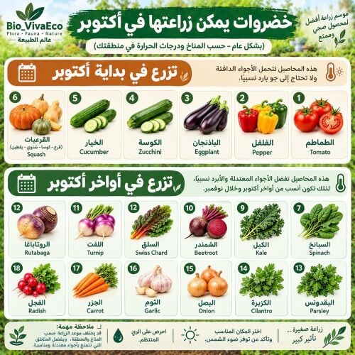 زراعه جميع الخضروات
