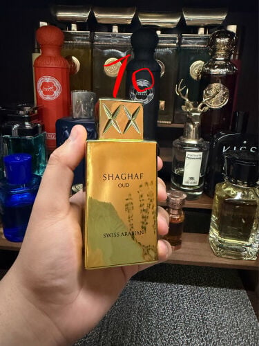 Fragrances (Scroll to see all)