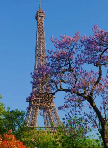 French lessons