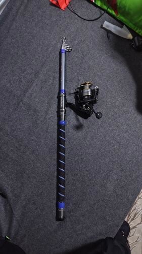 Fishing rod with reel