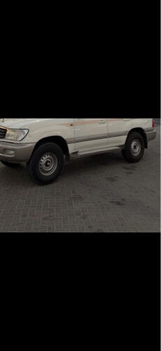 للبيع شنابر 16 اصليه 