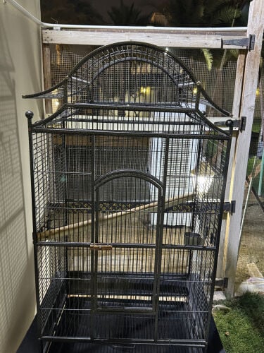 ‏big cage 