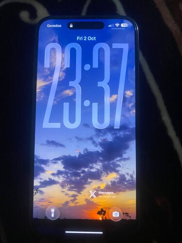 iPhone 14 Pro Max 