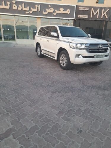 في اكس ار 2019
