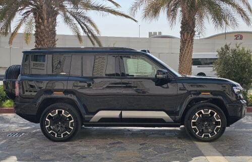 بي واي دي ليوبارد-٨
