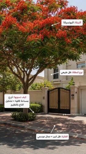 ورود توريد وتركيب