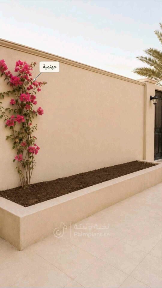 مهندس زراعي