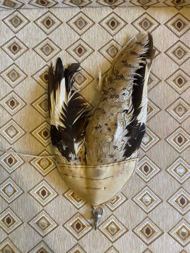 hubara for sale