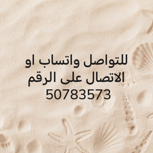 أستاذة