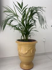 Elegant Decorative Ceramic Urn 