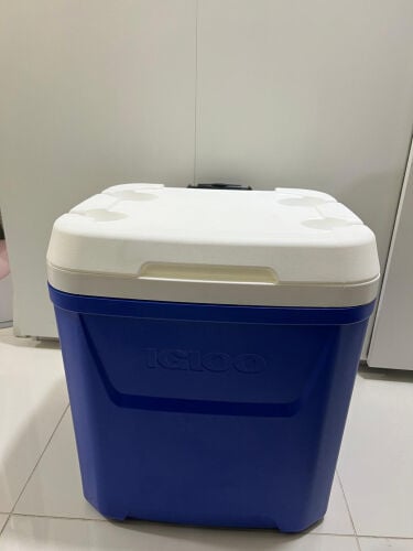 Igloo Cooler