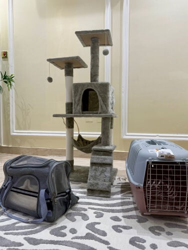 Cat hous +Soft Carrier +Hard Crate