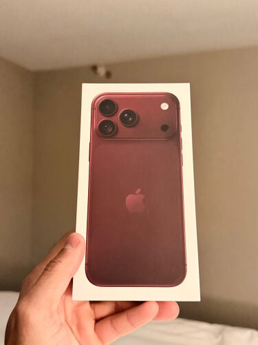 18 pro max 256 burgundy 