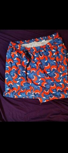 swimming shorts