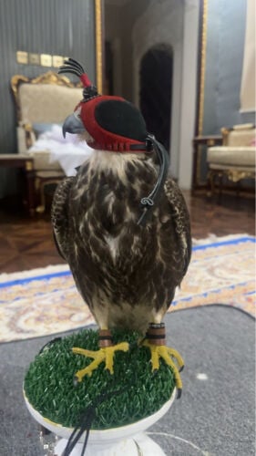 بيع