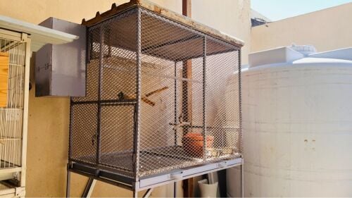 Big cage for sale 