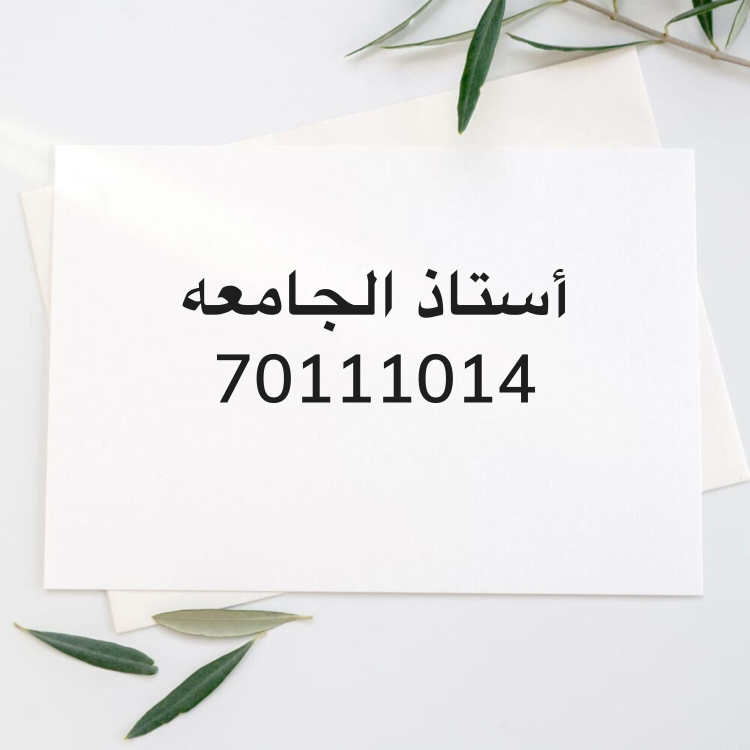 أستاذ لطلاب الجامعات خبره كبيره 