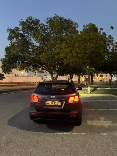 سورينتو ثاني مالك-55546161