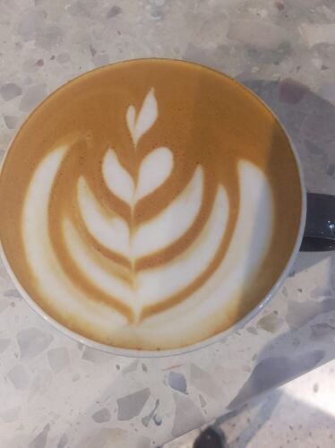 Barista  waitress
