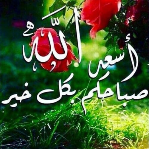 سائق