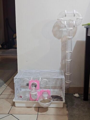 hamster cage