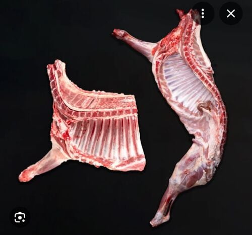 طليان