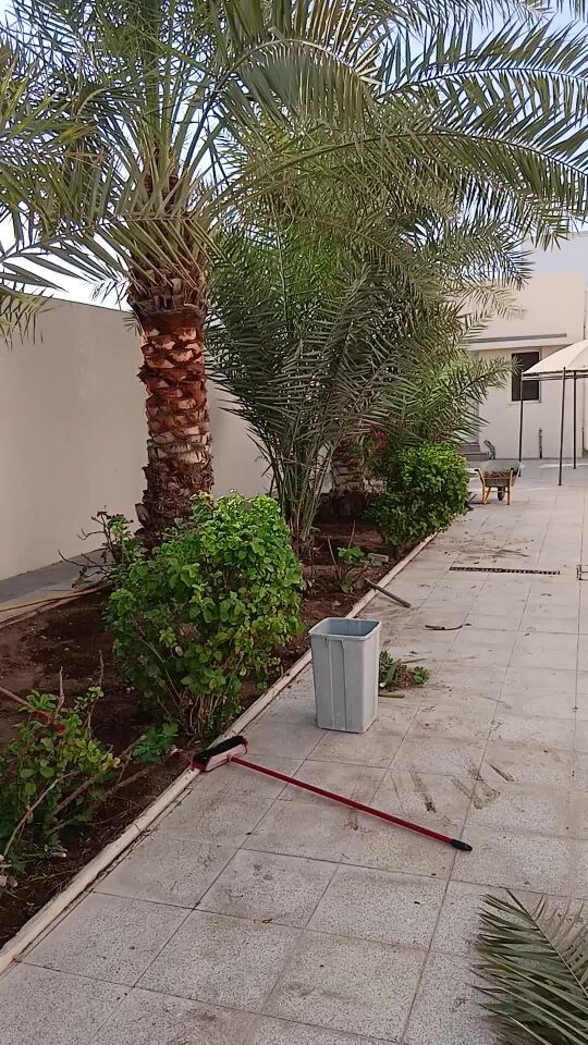 تنظيف وتسميد