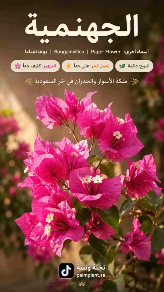 ورود زراعه الحدائق