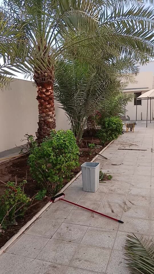 تنظيف وتسميد