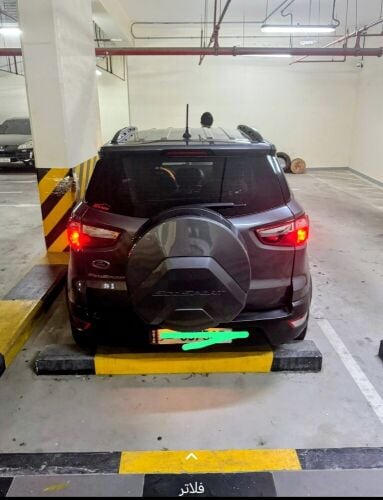 ford echo sports 2020