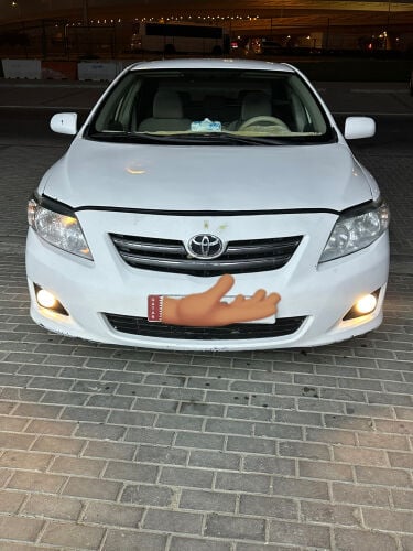 كوريلا