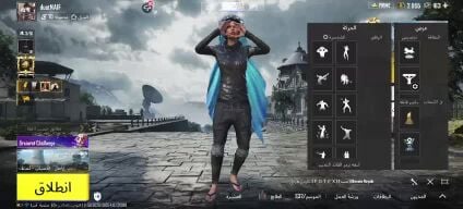 جواد