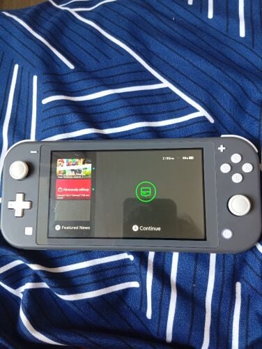 Nintendo switch lite