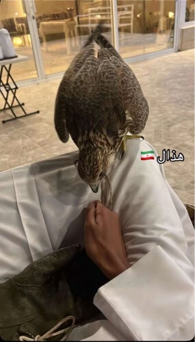 قرانس هوا
