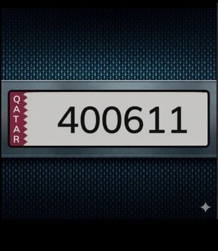 6 digit fancy number