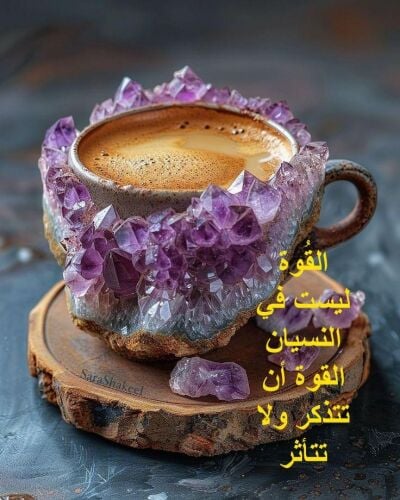 عبد المحمود خضر عبد الرحيم محمد