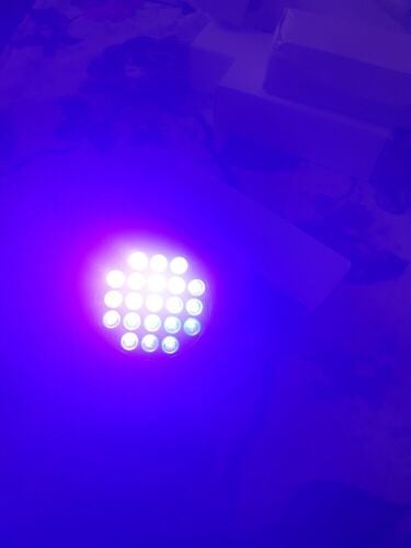 UV LIGHT