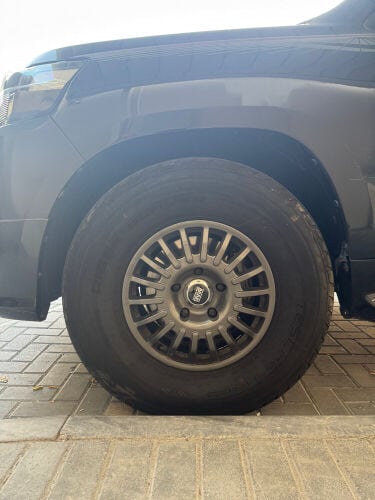 برايد ٥ بلوط مع شواهين اصليين