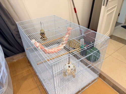 birds cage with toys and nest box