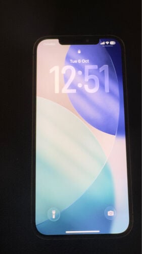 iPhone 12 pro max 256