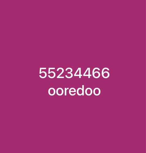Fancy number for Business