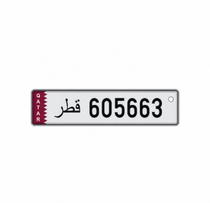 605663 fancy number